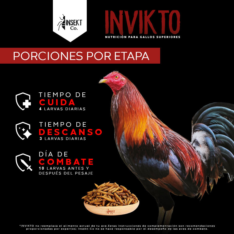 INVIKTO • 1 KG 🔥 PROMO NAVIDEÑA | ENVÍO GRATIS 📦